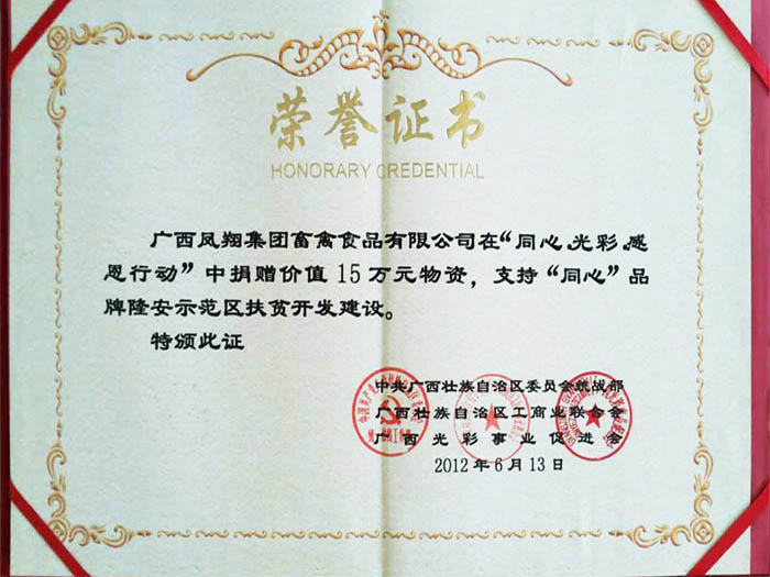 鳳翔集團(tuán)捐贈(zèng)隆安同心品牌隆安示范區(qū)扶貧開發(fā)建設(shè)榮譽(yù)證書